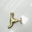 缩略图 2