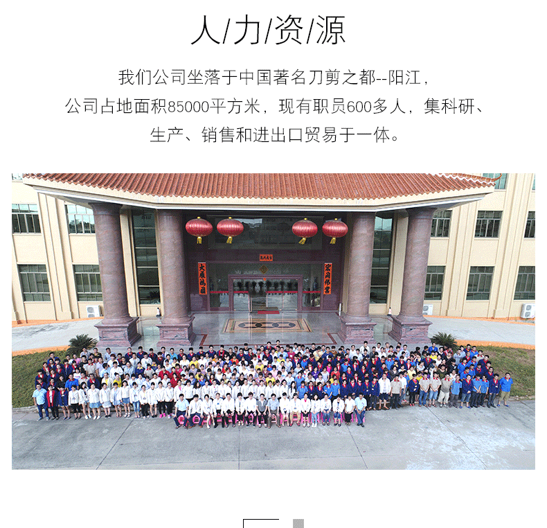 公司资历_04.gif