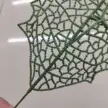 缩略图 2
