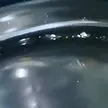 缩略图 3
