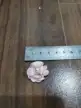 缩略图 2