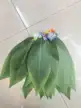 缩略图 2