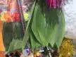 缩略图 5