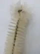 缩略图 3