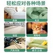 缩略图 3