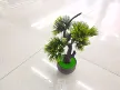 缩略图 4