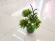 缩略图 3
