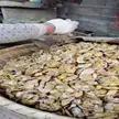 缩略图 2