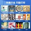 缩略图 4
