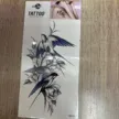 缩略图 1