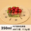 缩略图 5