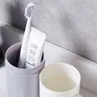 缩略图 2