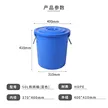 缩略图 5