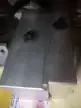 缩略图 1
