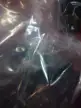 缩略图 1