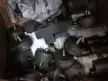 缩略图 1