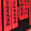 缩略图 10