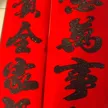 缩略图 8