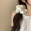 缩略图 2
