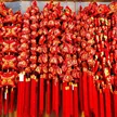 缩略图 9
