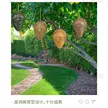 缩略图 1