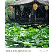 缩略图 3