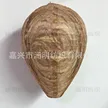 缩略图 7
