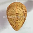 缩略图 6
