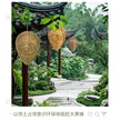 缩略图 2