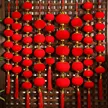 缩略图 1