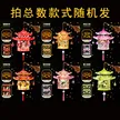 缩略图 5