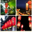 缩略图 2