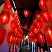 缩略图 1