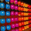 缩略图 2