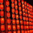 缩略图 3