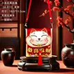 缩略图 7