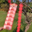缩略图 5