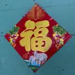 缩略图 5