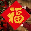 缩略图 5