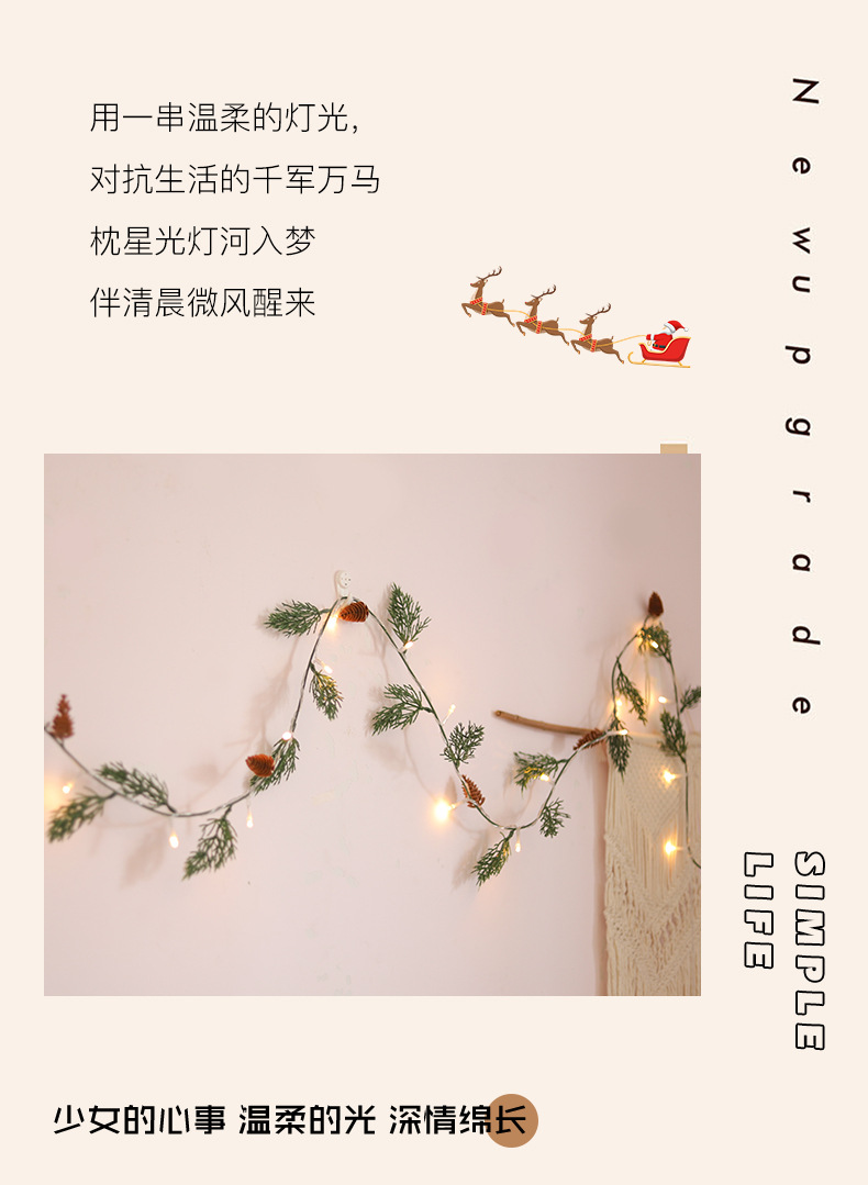 圣诞灯串_06.jpg