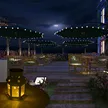 缩略图 1