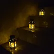 缩略图 2