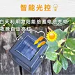 缩略图 2