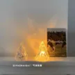 缩略图 2