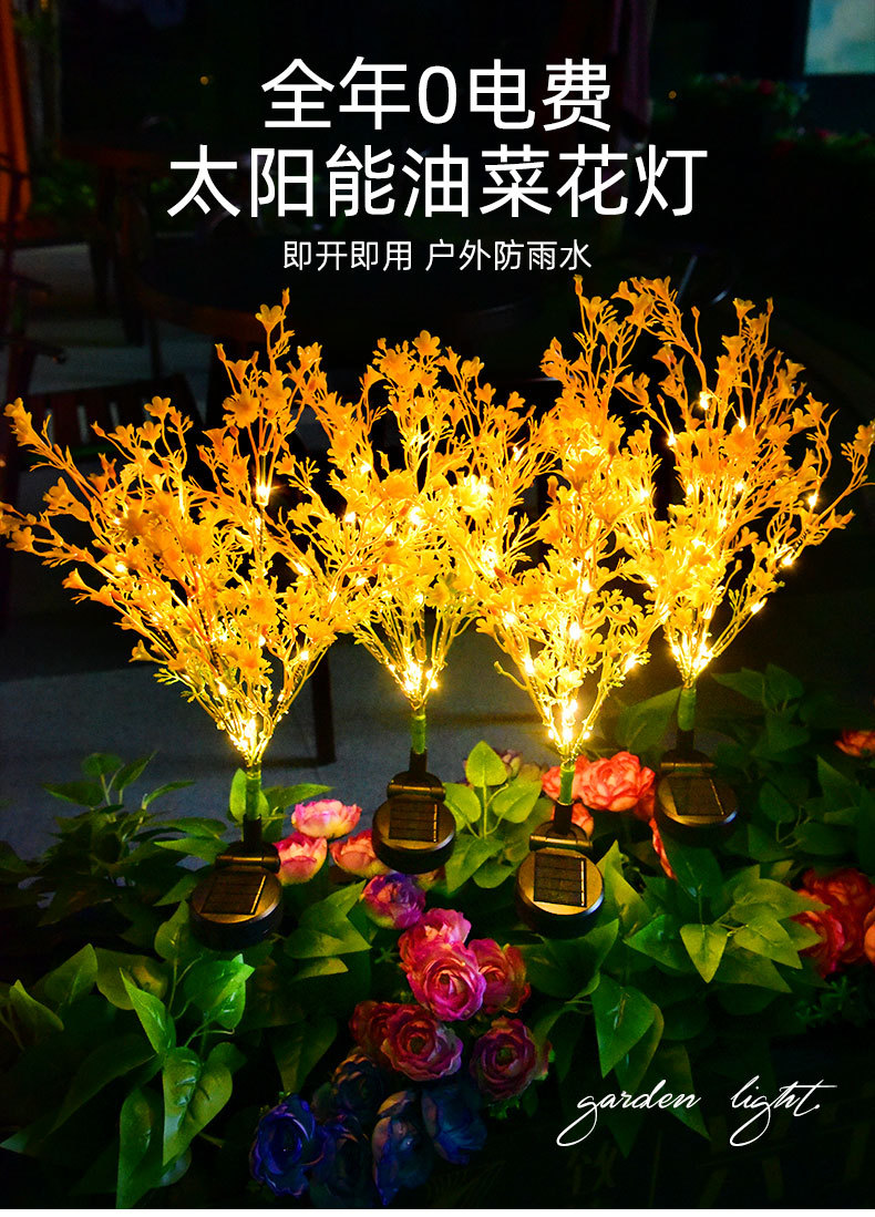 详情_01.jpg