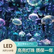 缩略图 1