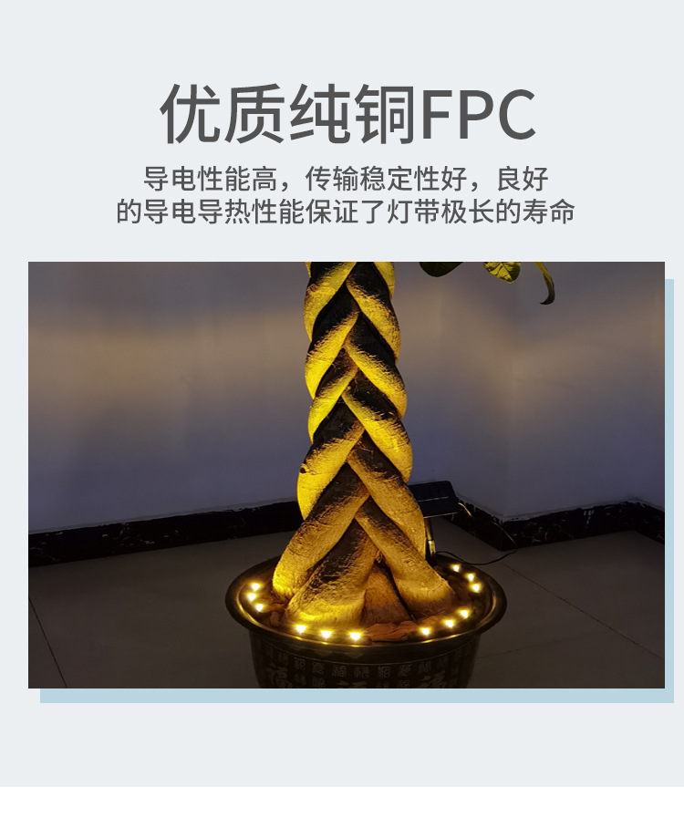 花盆5