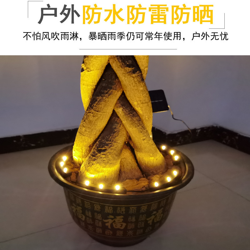 花盆7