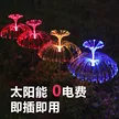 缩略图 2