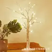 缩略图 3